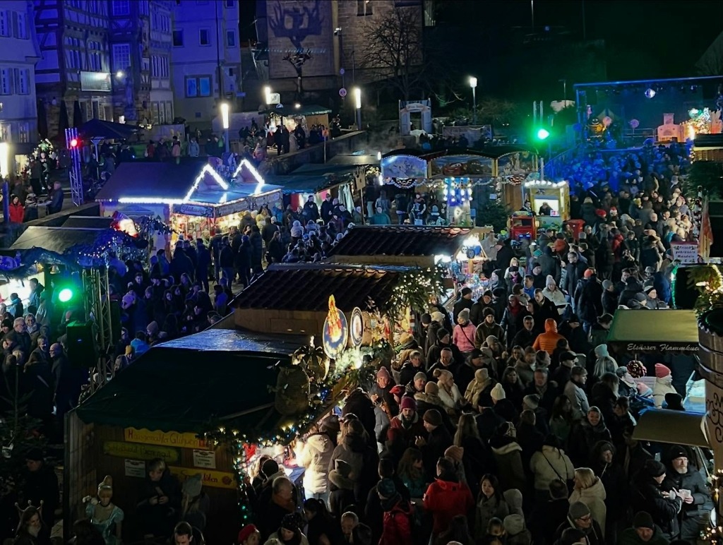 Instagram post from ob_stefanbelz. This post is in position 5.